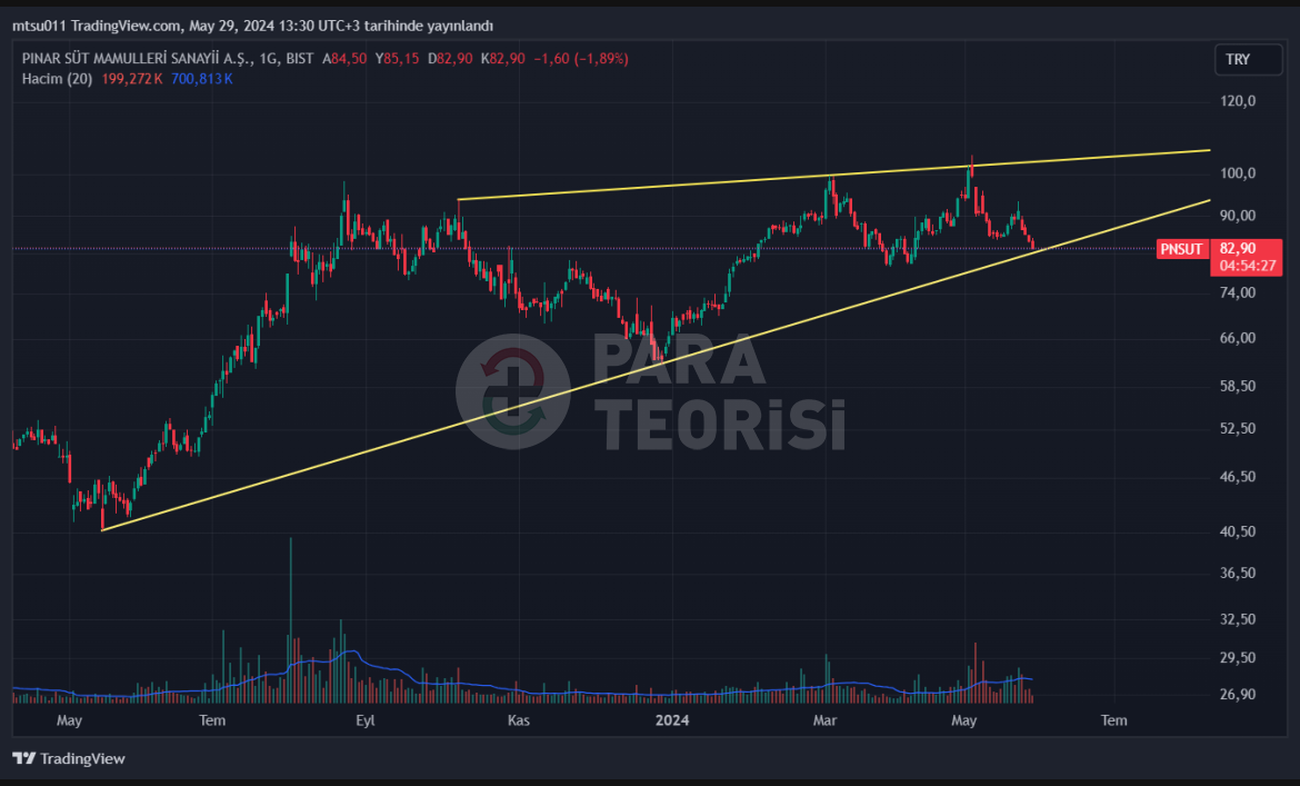 PNSUT Yatırımın karşılığı fiyata yansıyacak mı?